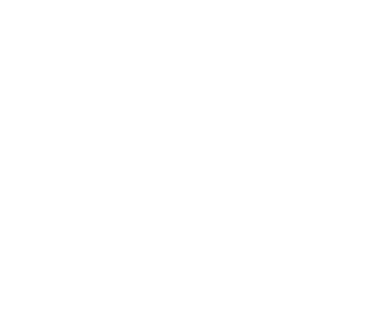 ISO Logo
